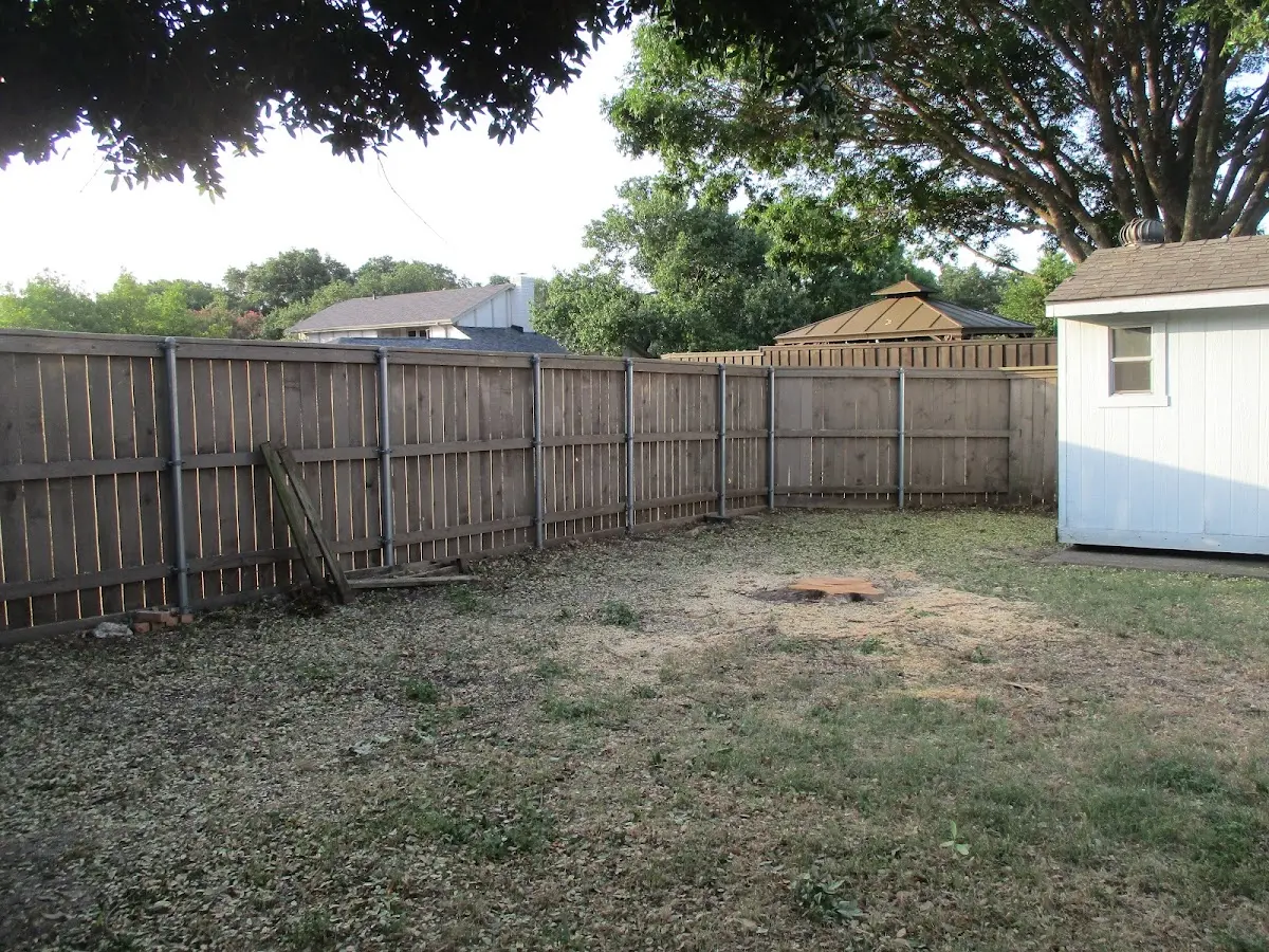 Cleared yard after professional tree removal in Orchard Hill