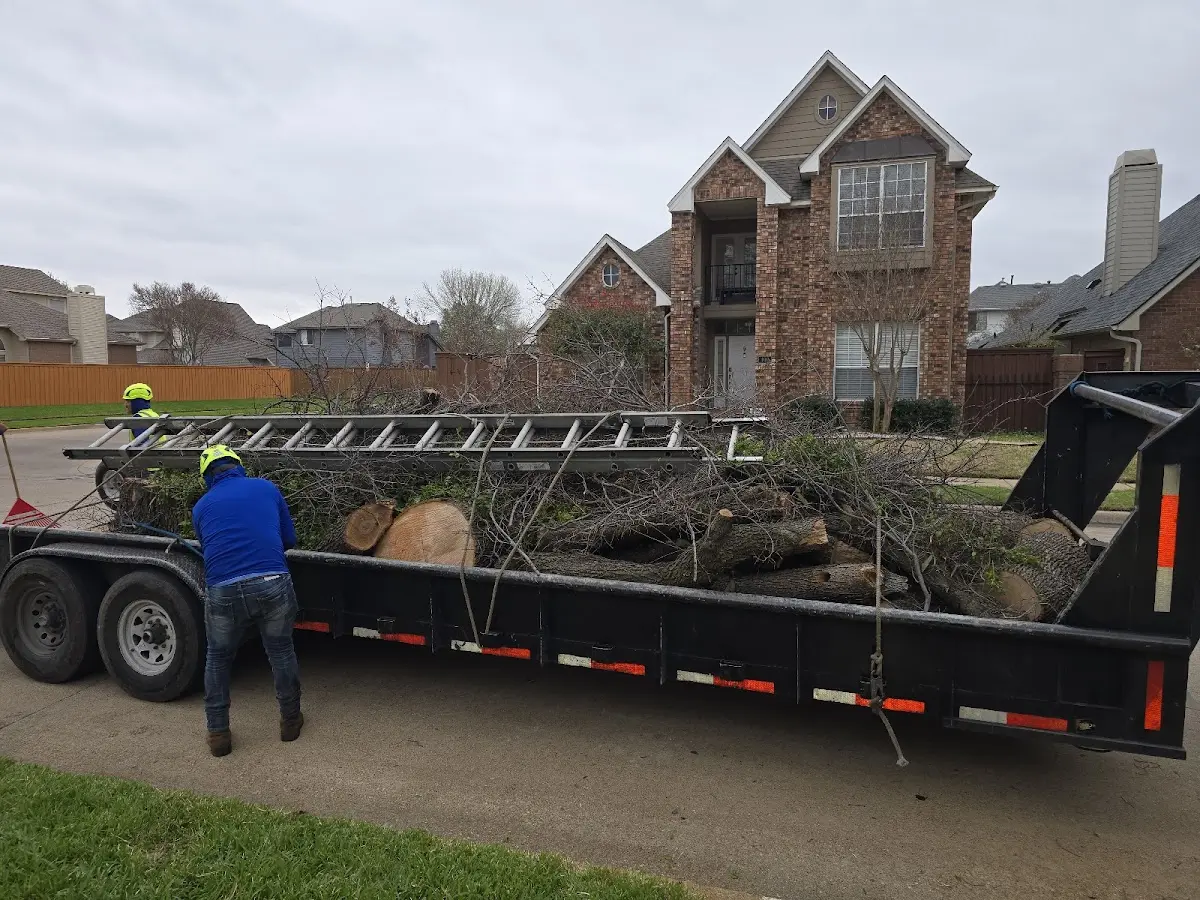 Expert Lot Clearing with proper safety equipment in Orchard Hill